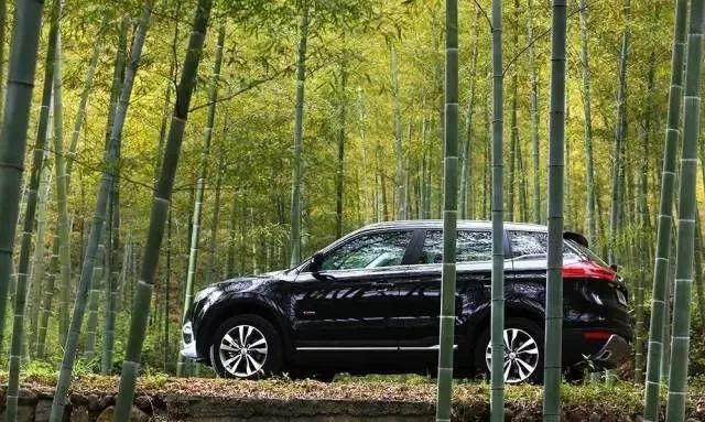 汽車(chē)鹽霧實(shí)驗(yàn) 汽車(chē)鹽霧實(shí)驗(yàn)